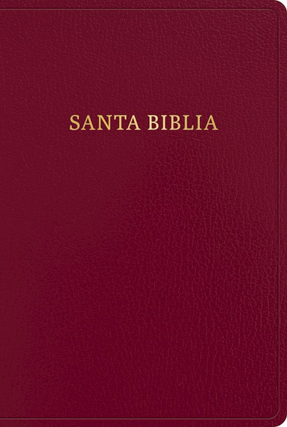 Span-RVR 1960 Giant Print Bible (Biblia Letra Gigante)-Burgundy Bonded Leather by B&H Espa±ol