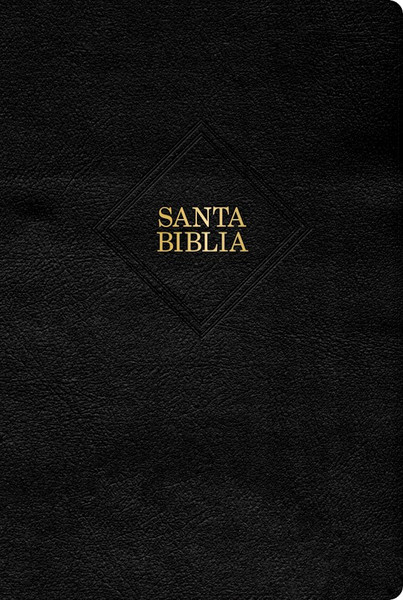 Span-RVR 1960 Giant Print Bible (Biblia Letra Gigante)-Black Bonded Leather by B&H Espa±ol