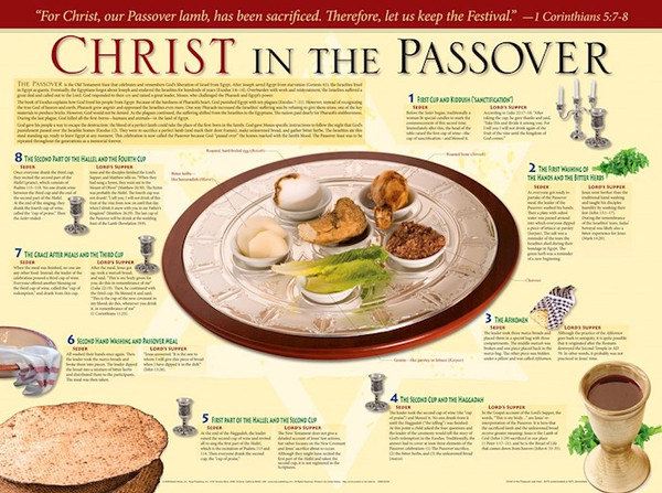 Chart-Christ In The Passover Wall (Laminated Sheet) (19" x 26") by Rose Publishing