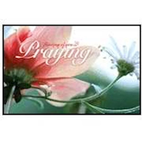 Postcard-Praying For You (Romans 15:13 KJV) (Pack Of 25) by Broadman & Holman