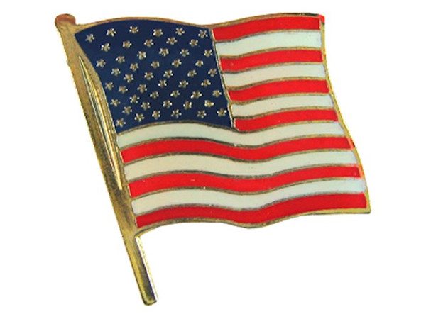 Lapel Pin-American Flag-Metal (Pack Of 6) by Swanson