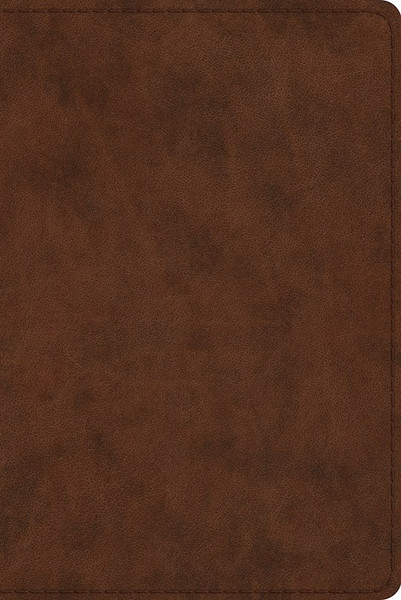 ESV Study Bible/Personal Size-Brown TruTone by English Standard V