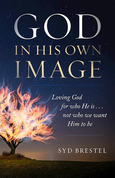 God In His Own Image by Brestel Syd
