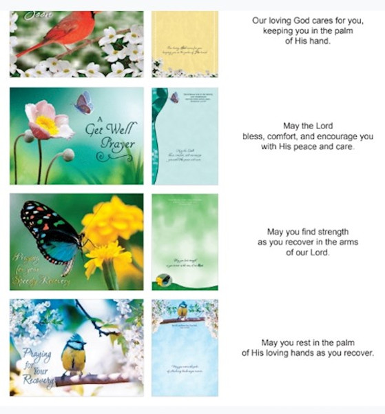 Card-Boxed-Shared Blessings-Get Well Birds And Butterflies (Box Of 12) by Crown Point