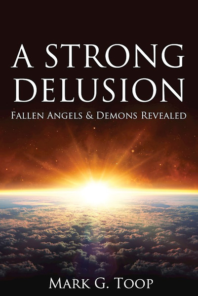 Strong Delusion A by Toop Mark G.