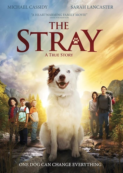 DVD-The Stray by Pure Flix