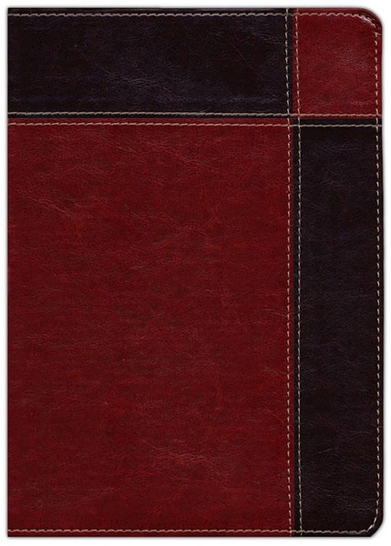 RVR 1960 Biblia de Estudio Ryrie Ampliada (Ryrie Study Bible Expanded)-Brown DuoTone by Ryrie Charles C