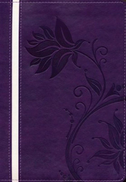 RVR 1960 Biblia de la Mujer Conforme al Corazon de Dios (A Woman After God's Own Heart Bible)-Purple Duotone by George Elizabeth