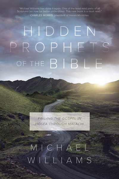 Hidden Prophets Of The Bible by Williams Michael