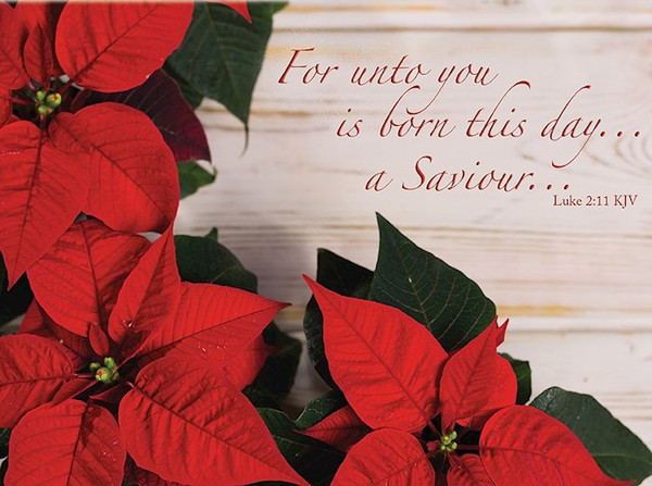 Card-Boxed-Christmas-Tidings Of Joy (Box Of 12) by Christmas