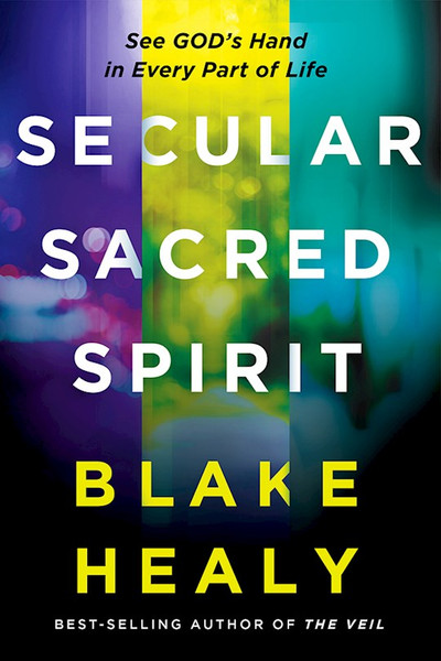 Secular Sacred Spirit by Healy Blake K