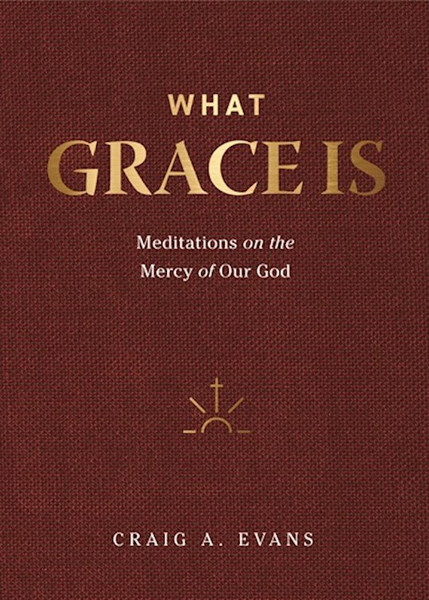 What Grace Is by Evans Craig A