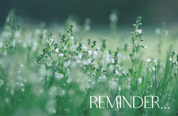 Postcard-Reminder... (Pack Of 25) by Broadman & Holman