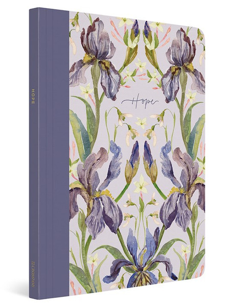 ESV Prayer Journal: 30 Days On Hope-Softcover by Allen Erika