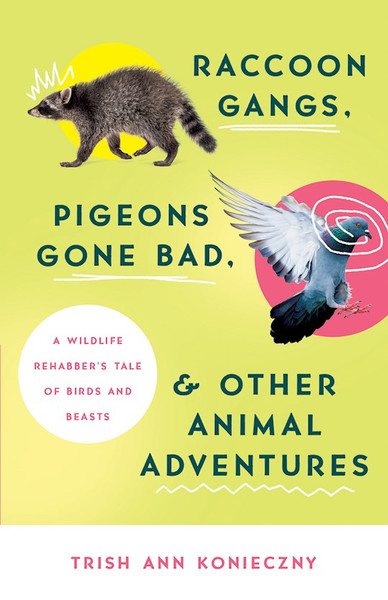 Raccoon Gangs Pigeons Gone Bad And Other Animal Adventures by Konieczny Trish An
