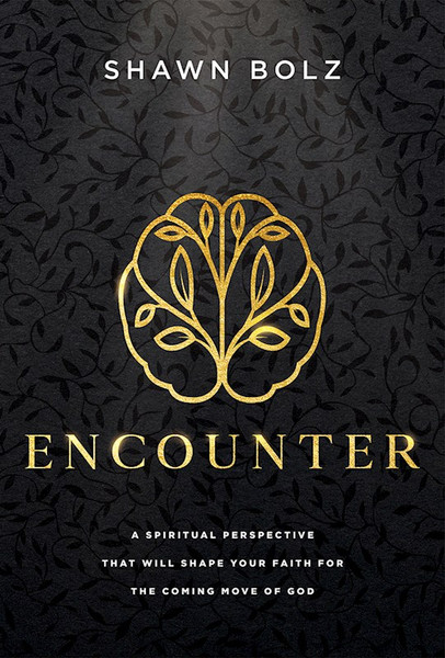 Encounter by Bolz Shawn