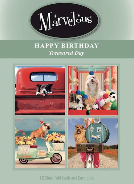 CARD-MARVELOUS TREASURED DAY BIRTHDAY #187 (BOX OF 12) by Artbeat