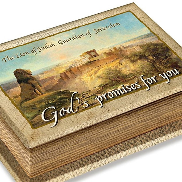 Promise Box-Gods Promises For You w/120 Cards In Painted Canvas Cloth Box (#8239) by Holy Land Gifts