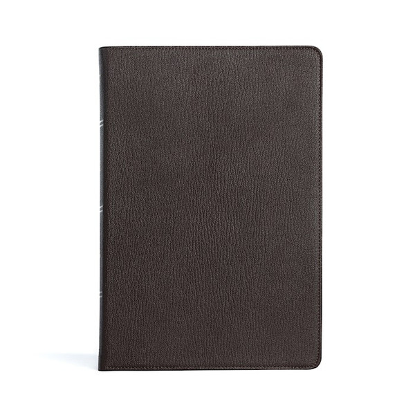 KJV Large Print Thinline Bible-Black Premium Leather by Holman Bible