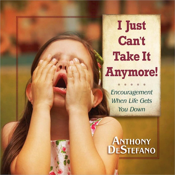 I Just Can't Take It Anymore! by DeStefano Anthony