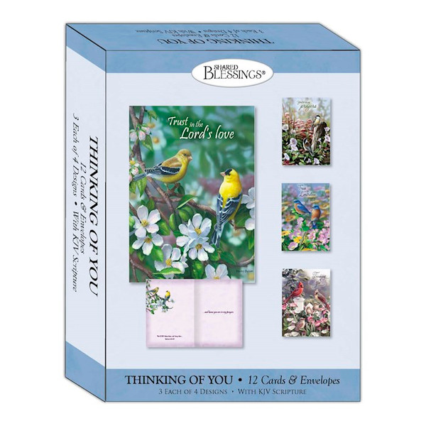 Card-Boxed-Shared Blessings-Thinking Of You-Signs Of Spring (Box Of 12) by Jackson Bradley