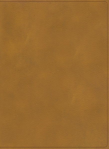 RVR 1960 Biblia Ilustrada de la Tierra Santa (Holy Land Illustrated Bible)-Coffee LeatherTouch Indexed by B&H Espa±ol