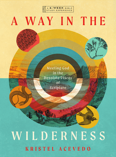 A Way In The Wilderness by Acevedo Kristel