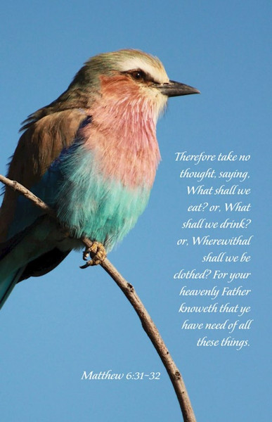 Bulletin-Your Heavenly Father Knoweth/Therefore Take No Thought... (Pack Of 100) by Broadman & Holman