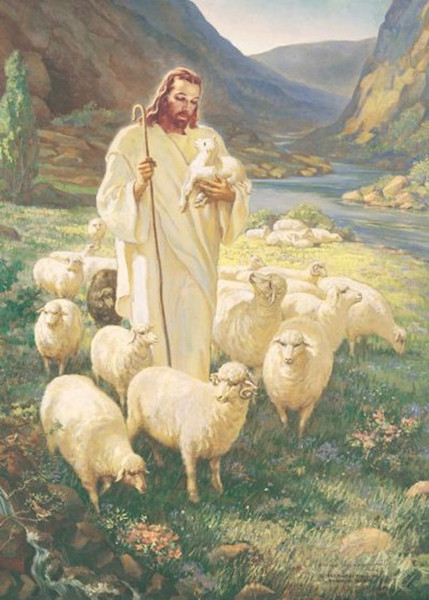 Pocket Card-Smallman Art: Good Shepherd (Psalm 23) (Pack Of 25) by Warner Press