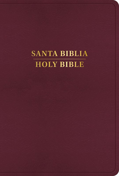 RVR 1960/KJV Biblia Bilingue Letra Grande (Large Print Bilingual Bible)-Burgundy Imitation Leather by B&H Espa±ol