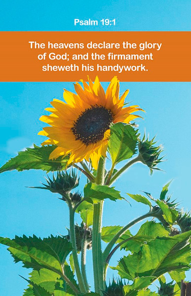 Bulletin-The Heavens Declare The Glory Of God (Psalm 19:1 KJV) (Pack Of 100) by Broadman & Holman