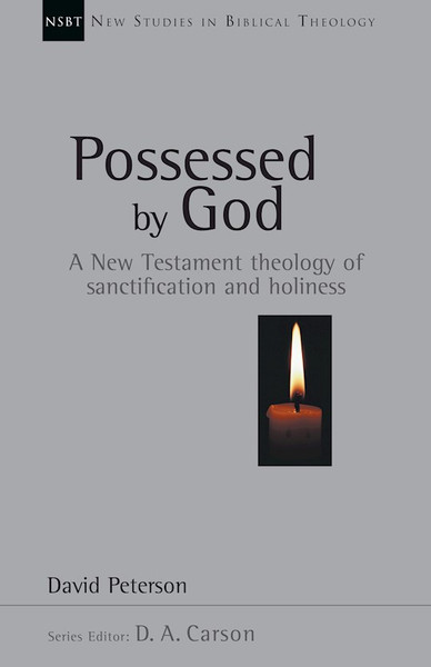 Possessed By God by Peterson David G