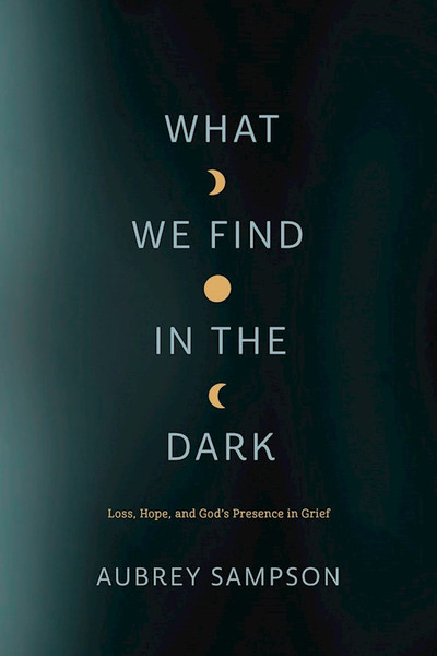 What We Find In The Dark by Sampson Aubrey