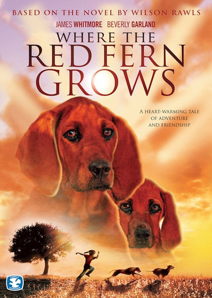 DVD-Where The Red Fern Grows V1 by Bridgestone