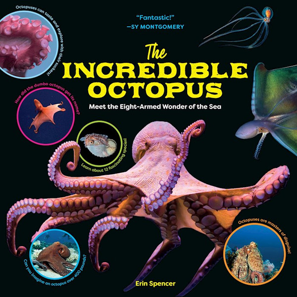 The Incredible Octopus by Spencer Erin
