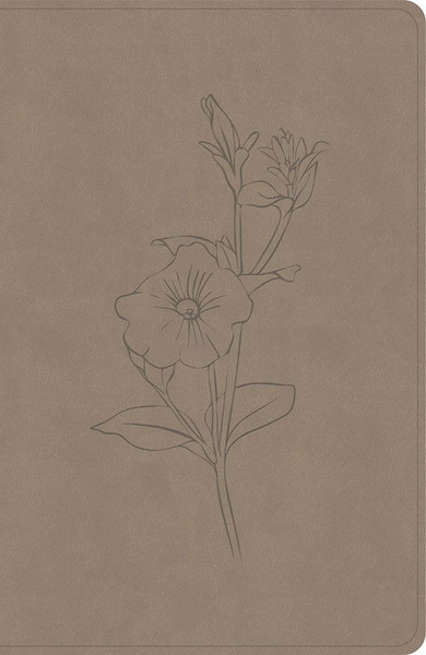 CSB Personal Size Giant Print Bible Digital Study Edition-Earth SuedeSoft LeatherTouch Indexed by CSB Bibles By Holm