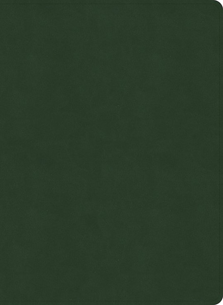 NASB 2020 Study Bible-Olive LeatherTouch Indexed by Holman Bible