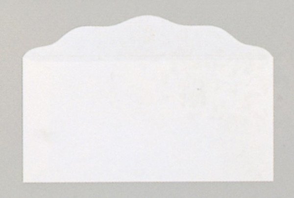 Offering Envelope-Blank (Bill-Size)-White (Pack Of 100) by Broadman & Holman
