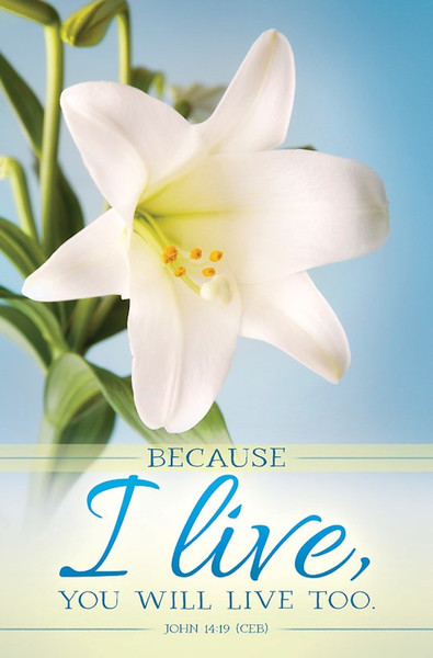 Bulletin-Because I Live/Easter Lilys (John 14:19) (Pack Of 100) by Abingdon Press