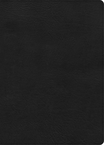 CSB Study Bible/Large Print Digital Study Edition-Black LeatherTouch by CSB Bibles By Holm