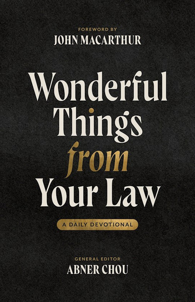 Wonderful Things from Your Law by Chou Abner