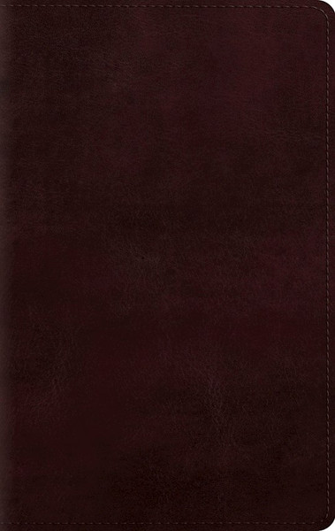 ESV Giant Print Personal Size Bible (RL)-Mahogany TruTone by English Standard V
