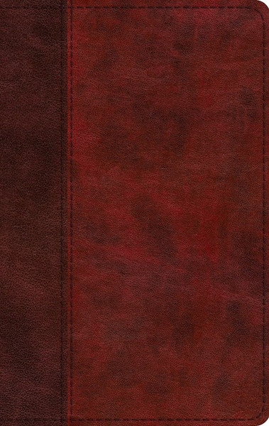ESV Large Print Thinline Bible*-Burgundy/Red Timeless Design TruTone by English Standard V