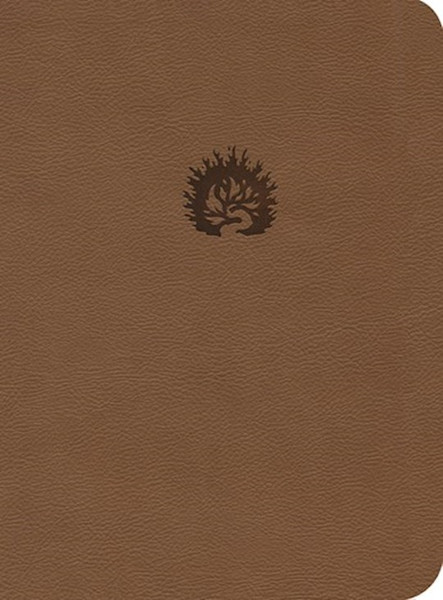ESV Reformation Study Bible-Light Brown LeatherLike by Sproul R C