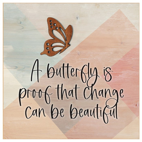 Compact Mirror-A Butterfly Is Proof by Dexsa
