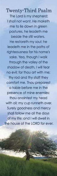 Bookmark-Twenty-Third Psalm (Pack Of 25) by Broadman & Holman
