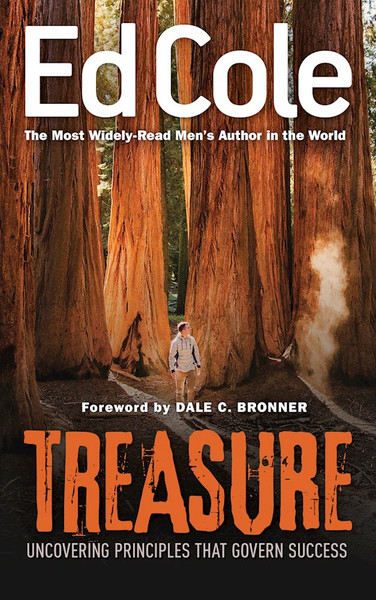 Treasure by Cole Edwin