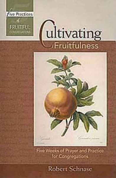 Cultivating Fruitfulness by Schnase Robert