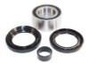 EPI 95-05 Honda TRX400-650 Wheel Bearing Kit - WE301170 Photo - Primary