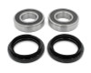 EPI 15-22 Yamaha Viking/VI/ Wolverine X2/X4 Wheel Bearing Kit - WE301449 Photo - Primary